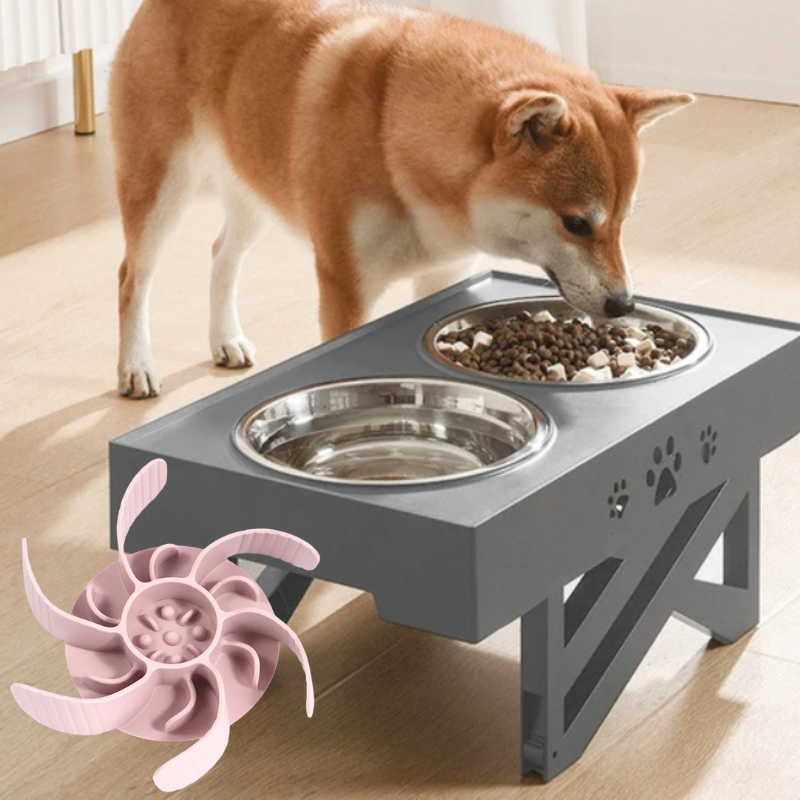 Futter-Set