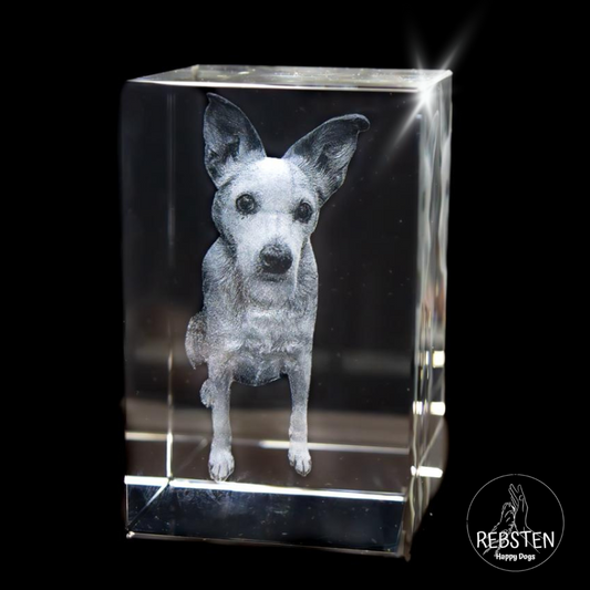 "Erinnerungsjuwel" 2D/3D Glasfoto