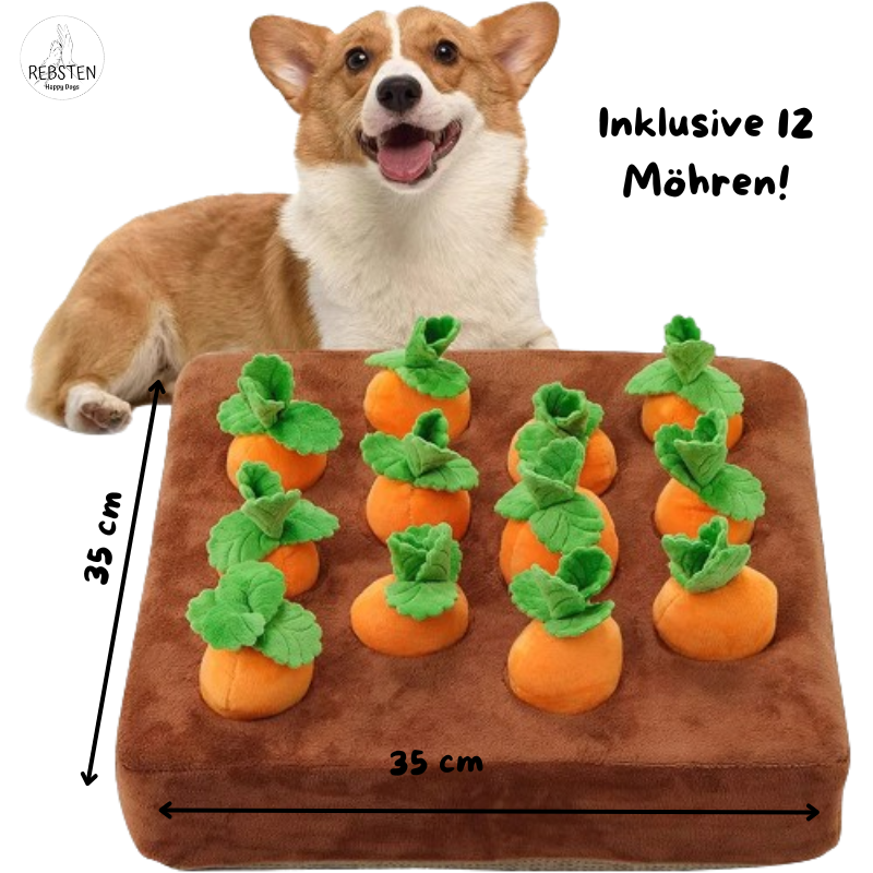 "Möhren Detektiv" Hunde-Suchspiel