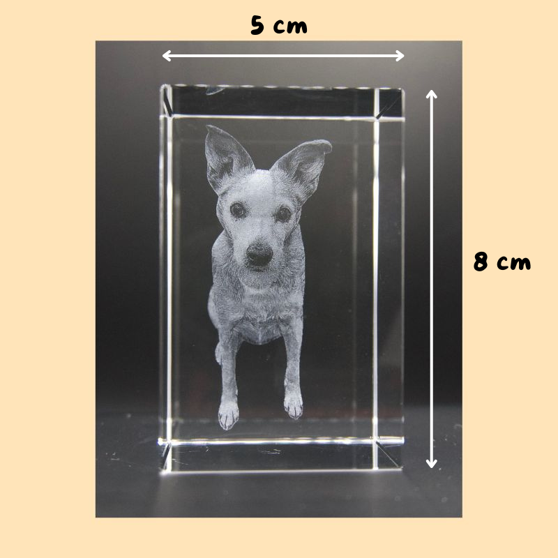 "Erinnerungsjuwel" 2D/3D Glasfoto