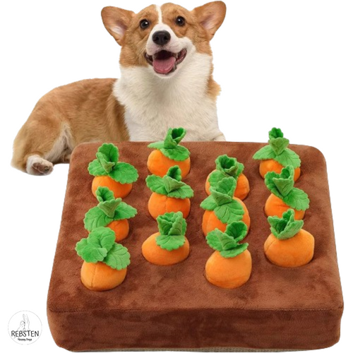 "Möhren Detektiv" Hunde-Suchspiel