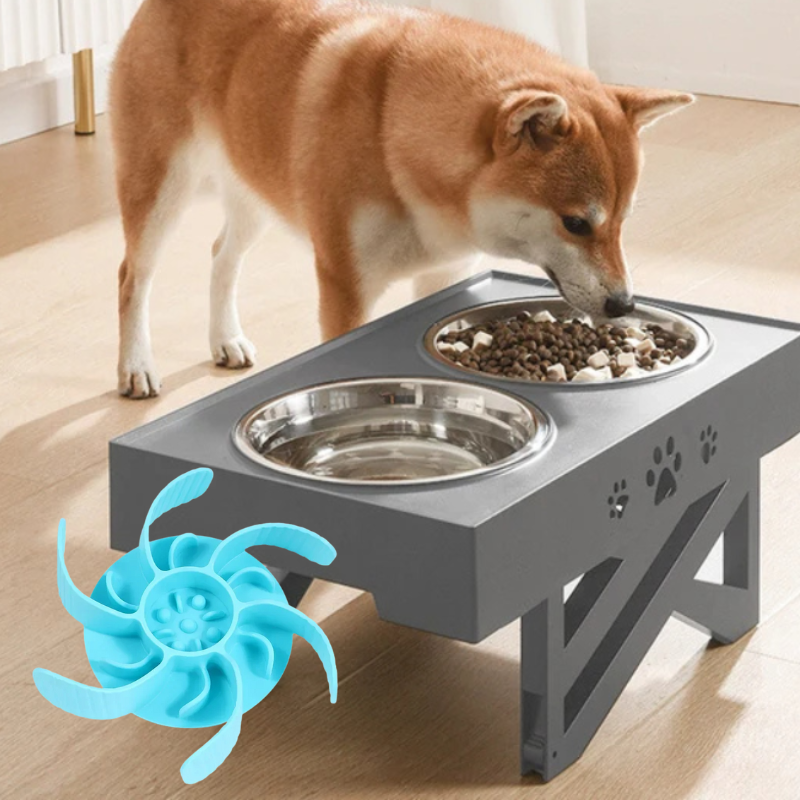 Futter-Set