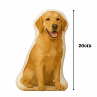 XS (20cm)