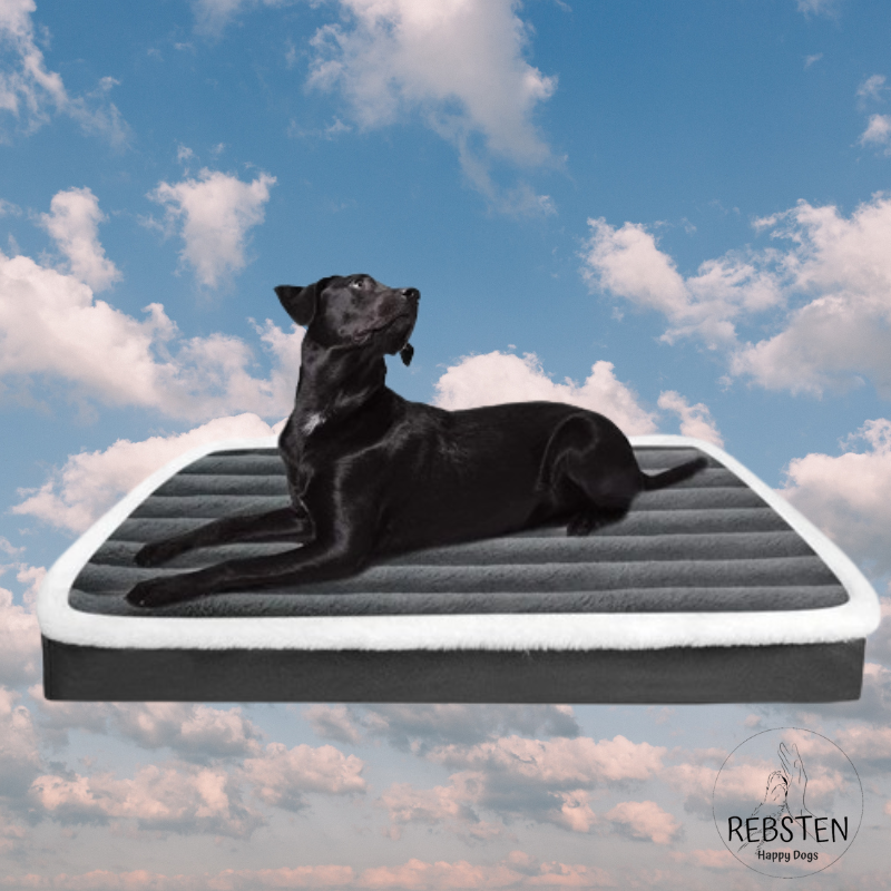 "SchnarchOase" orthopädisches Hundebett