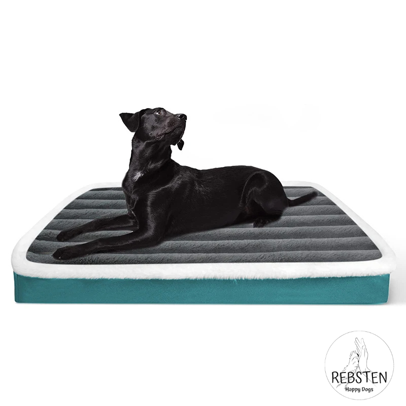"SchnarchOase" orthopädisches Hundebett