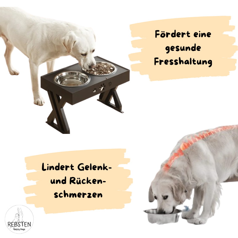 Futter-Set
