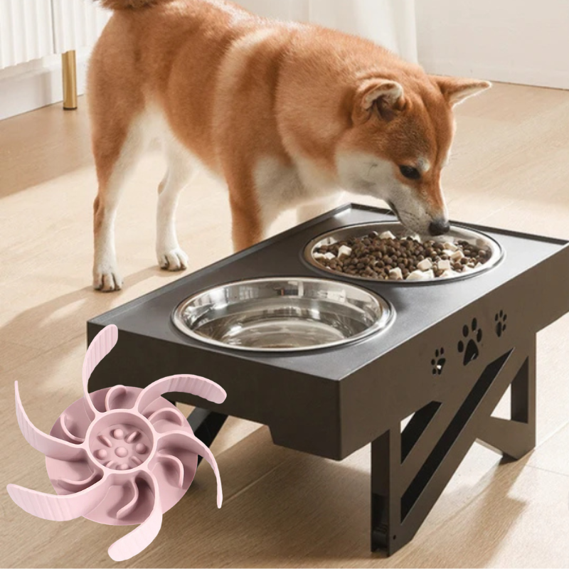 Futter-Set