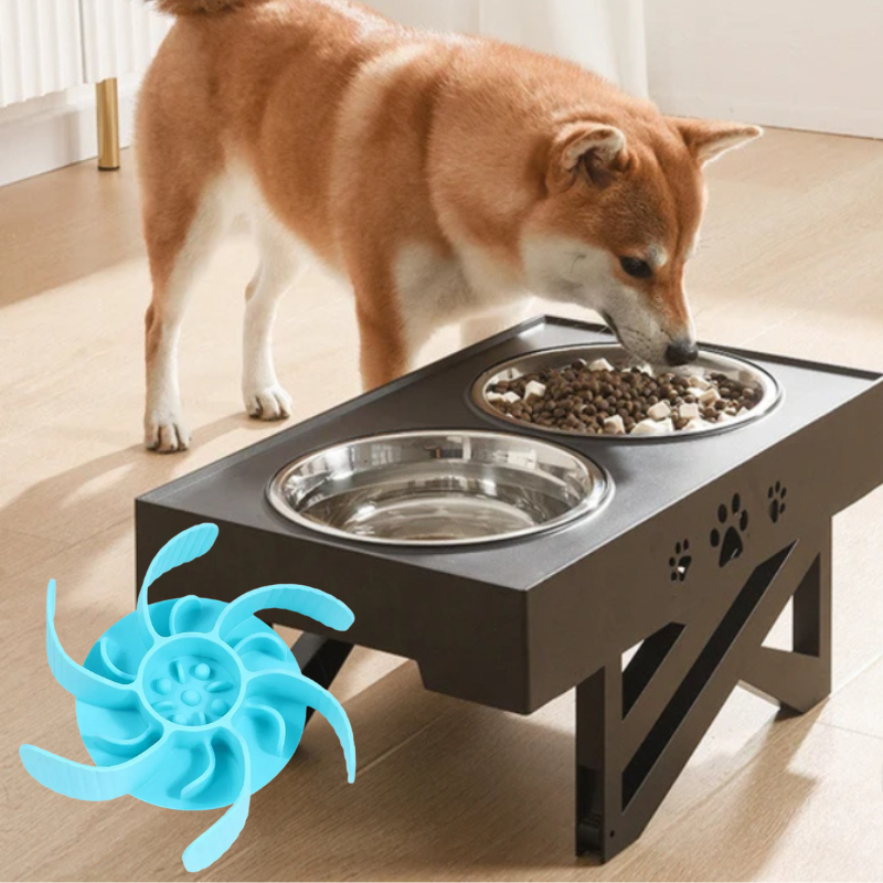 Futter-Set