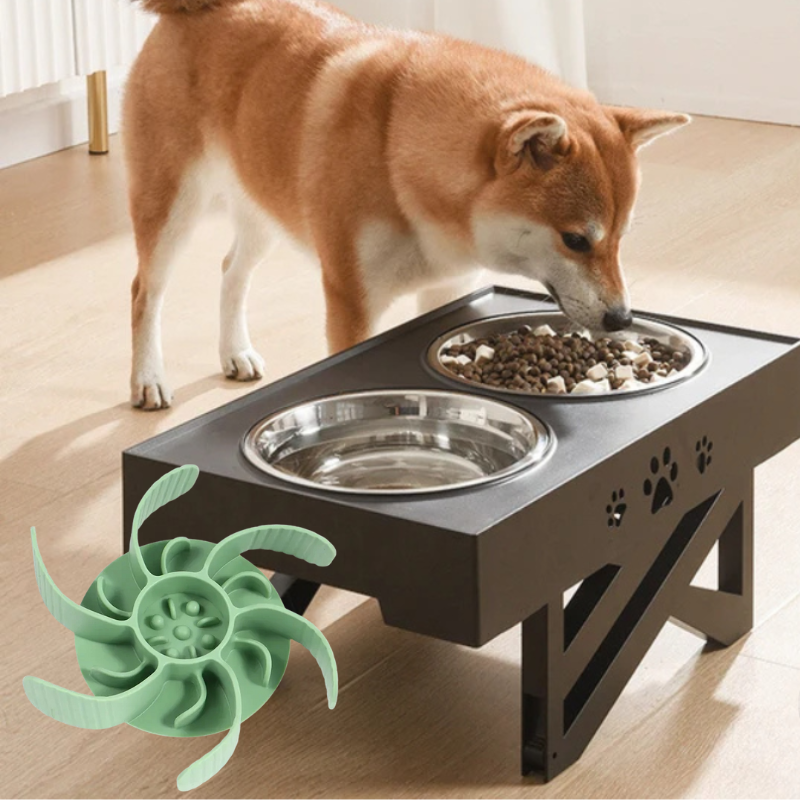 Futter-Set