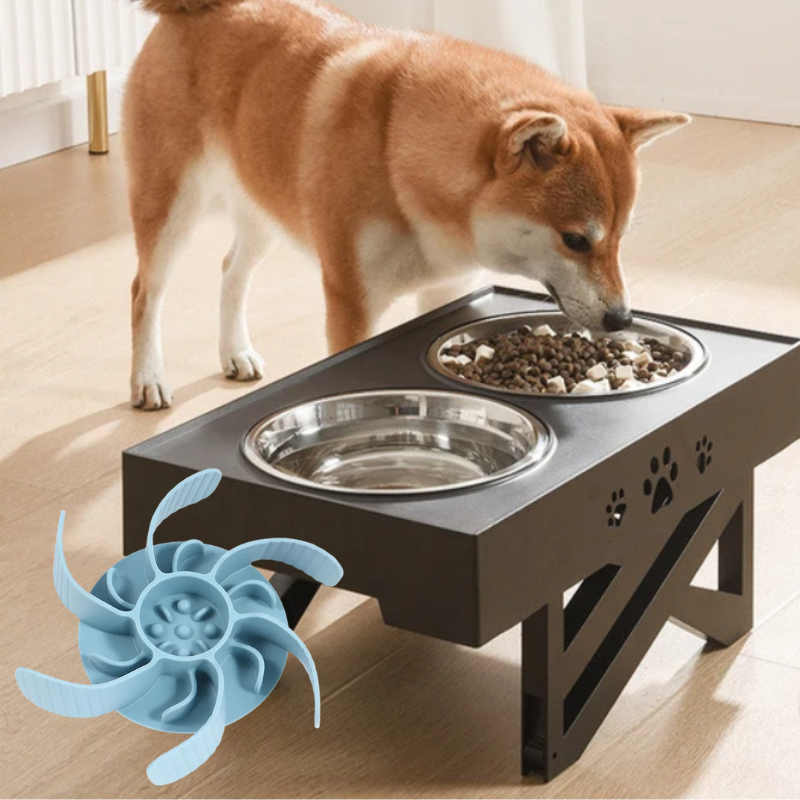 Futter-Set