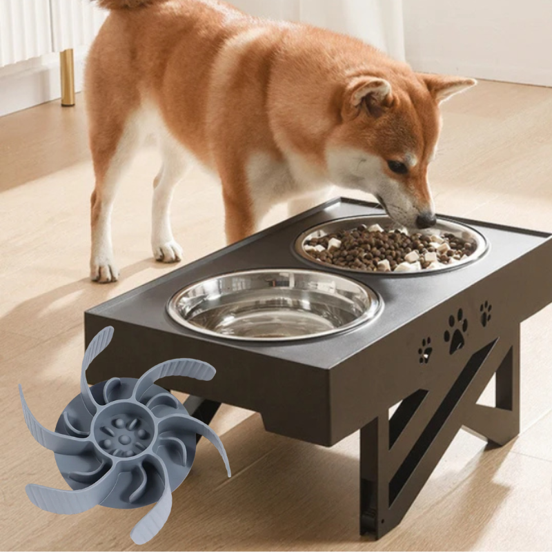 Futter-Set