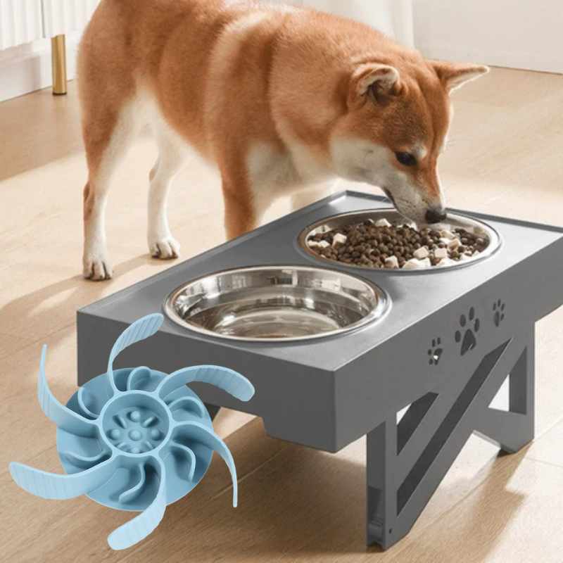 Futter-Set