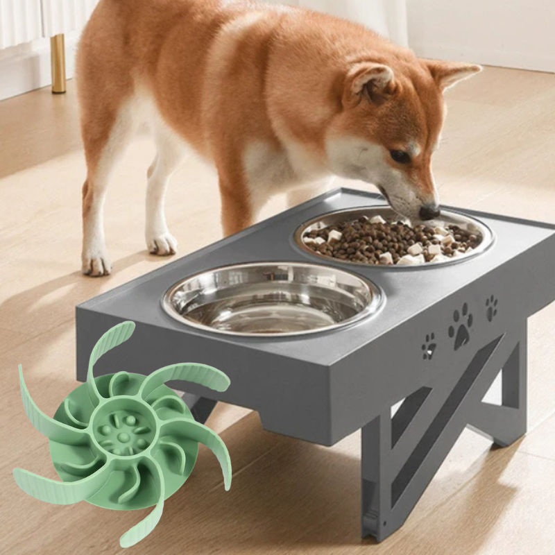 Futter-Set