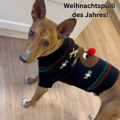 Fellzauber Winteredition